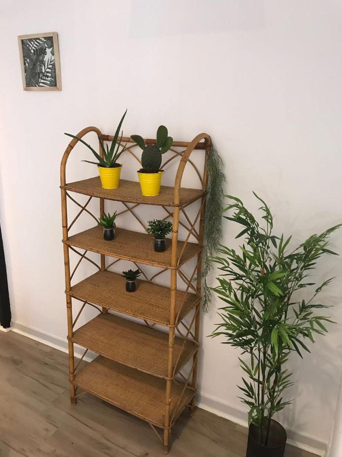 Cactus 2 Bedroom Apartment On Calle San Miguel Minutes From The Beach By Namaste Elite Torremolinos Buitenkant foto